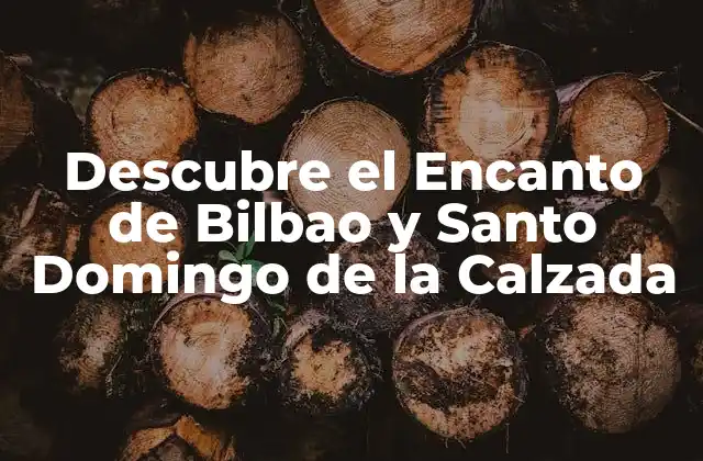 Descubre el Encanto de Bilbao y Santo Domingo de la Calzada