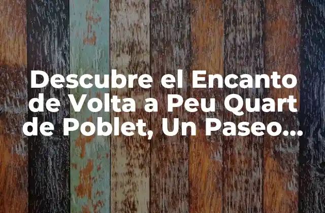 Descubre el Encanto de Volta a Peu Quart de Poblet, un Paseo por la Historia