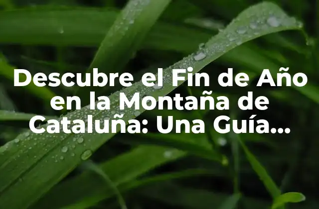Descubre el Fin de Año en la Montaña de Cataluña: una Guía Completa