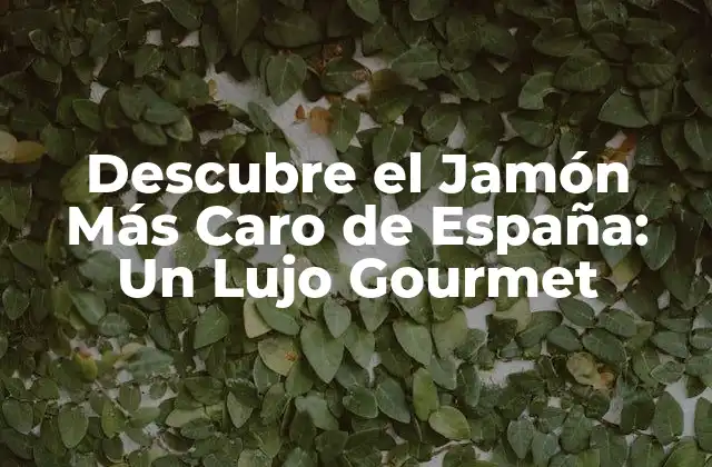 Descubre el Jamón Más Caro de España: un Lujo Gourmet