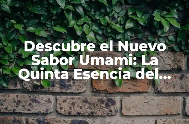 Descubre el Nuevo Sabor Umami: la Quinta Esencia Del Sabor