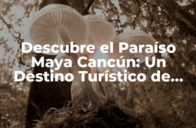 Descubre el Paraíso Maya Cancún: un Destino Turístico de Ensueño