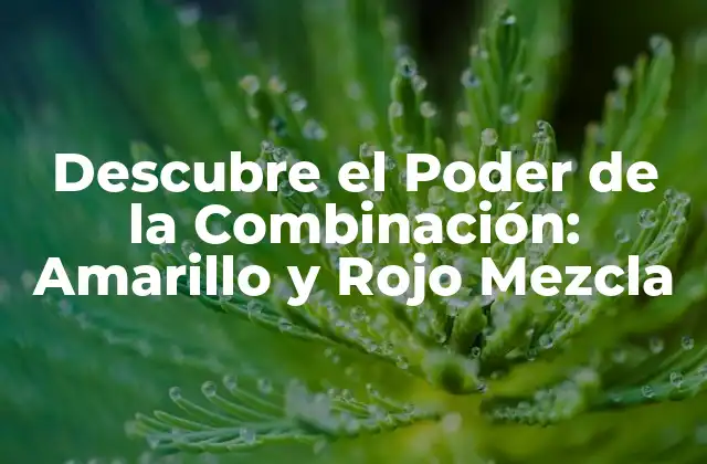 Descubre el Poder de la Combinación: Amarillo y Rojo Mezcla