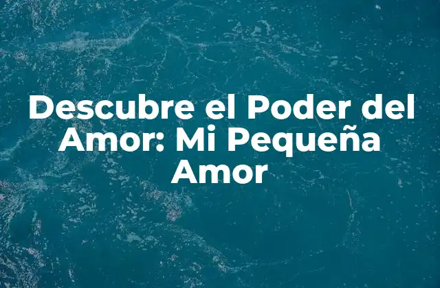 ¿Qué es Mi Pequeña Amor?