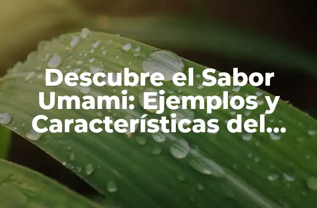 Descubre el Sabor Umami: Ejemplos y Características Del Quinto Sabor