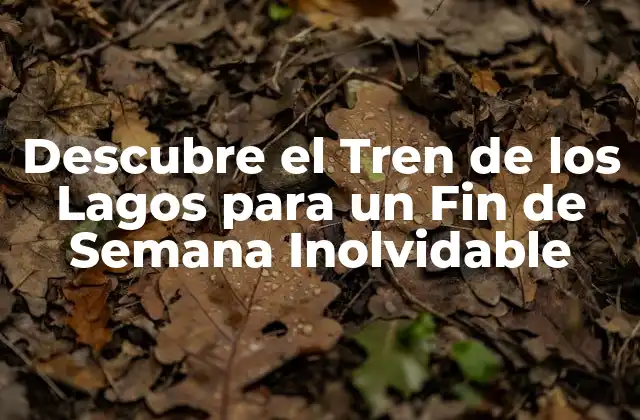 Descubre el Tren de los Lagos para un Fin de Semana Inolvidable