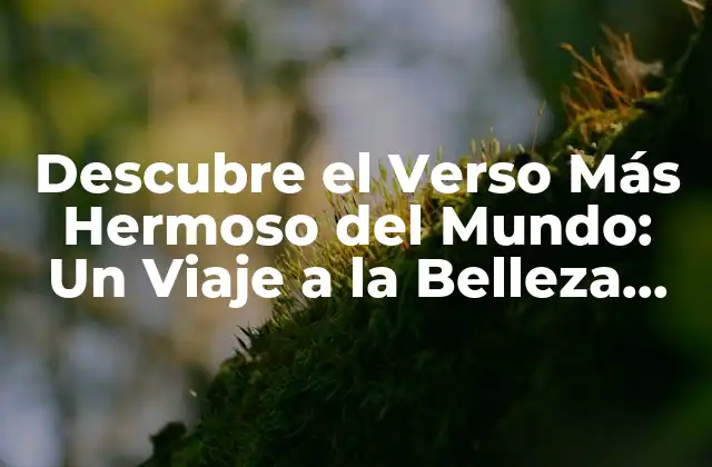Descubre el Verso Más Hermoso Del Mundo: un Viaje a la Belleza Literaria