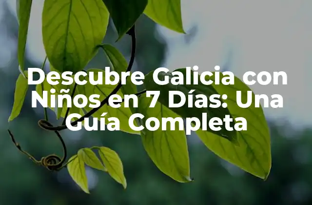 Descubre Galicia con Niños en 7 Días: una Guía Completa
