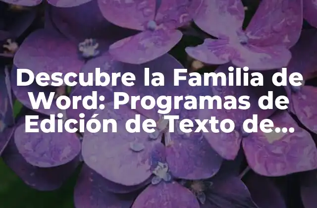 ¿Cuáles son los Programas de Edición de Texto de la Familia de Word?