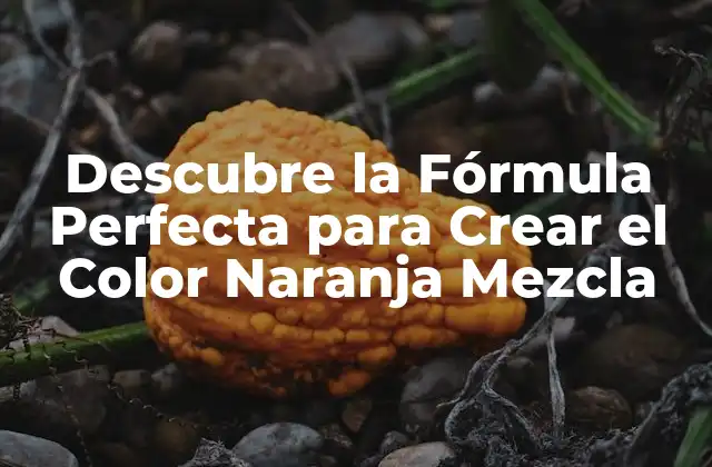 Descubre la Fórmula Perfecta para Crear el Color Naranja Mezcla