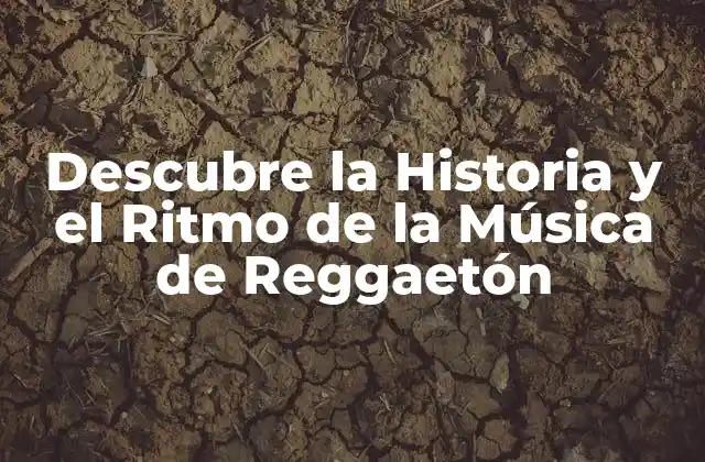 Descubre la Historia y el Ritmo de la Música de Reggaetón