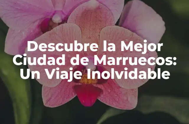 Descubre la Mejor Ciudad de Marruecos: un Viaje Inolvidable 2 ¿Cuál es la Mejor Ciudad de Marruecos para Visitar?