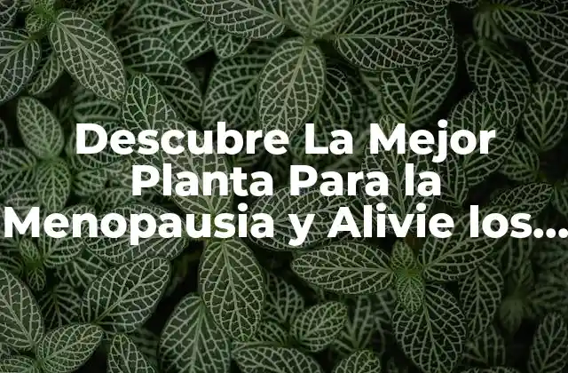Descubre la Mejor Planta para la Menopausia y Alivie los Síntomas