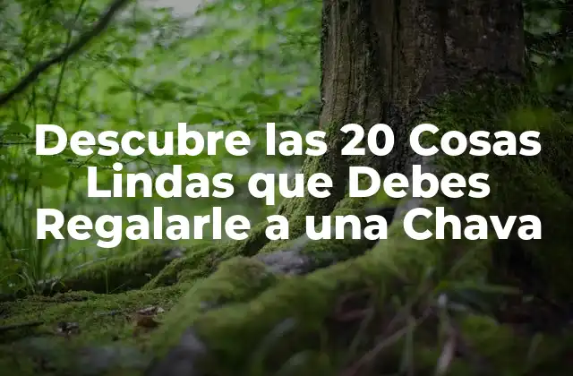 Descubre las 20 Cosas Lindas que Debes Regalarle a una Chava