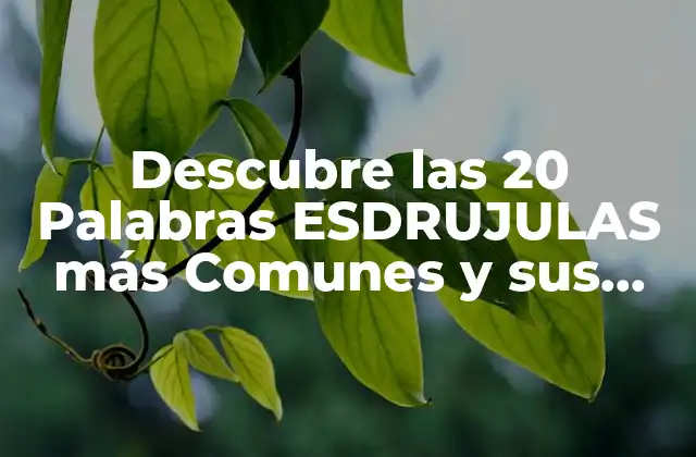 Descubre las 20 Palabras Esdrujulas Más Comunes y Sus Significados