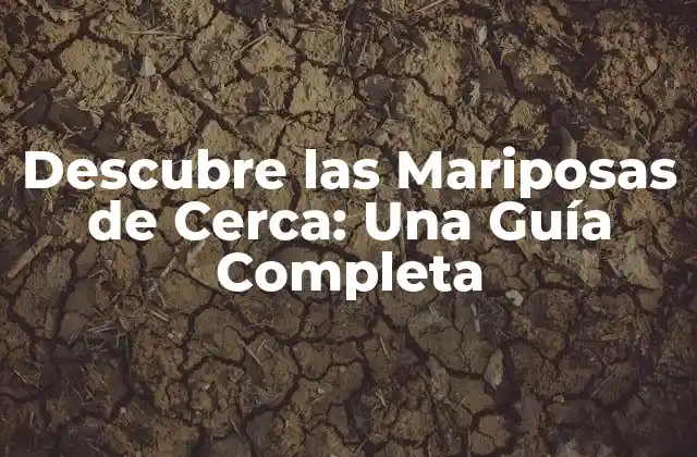 ¿Qué son las Mariposas de Cerca?