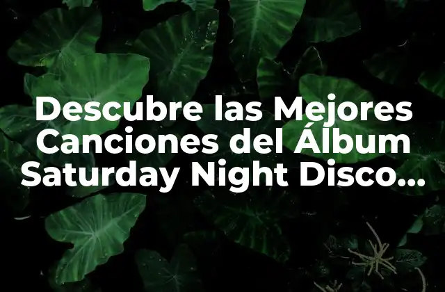 Descubre las Mejores Canciones Del Álbum Saturday Night Disco de los 70
