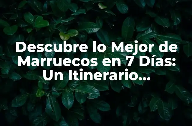 Descubre Lo Mejor de Marruecos en 7 Días: un Itinerario Imperdible