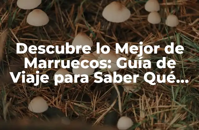 Descubre Lo Mejor de Marruecos: Guía de Viaje para Saber Qué Visitar