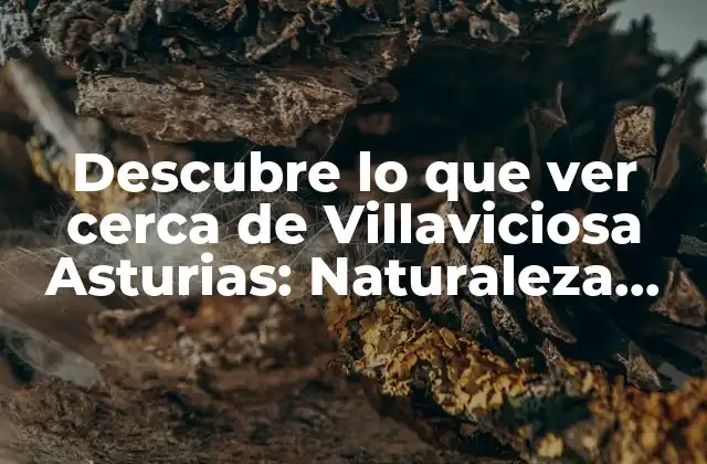 Descubre Lo que Ver Cerca de Villaviciosa Asturias: Naturaleza, Cultura y Ocio