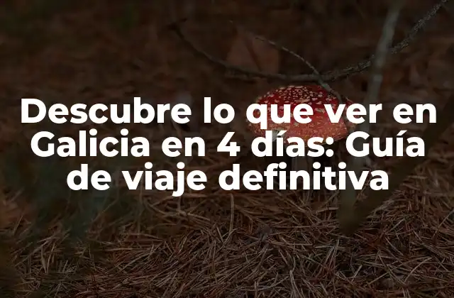 Descubre Lo que Ver en Galicia en 4 Días: Guía de Viaje Definitiva