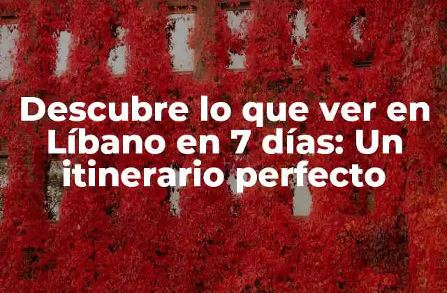 Descubre Lo que Ver en Líbano en 7 Días: un Itinerario Perfecto