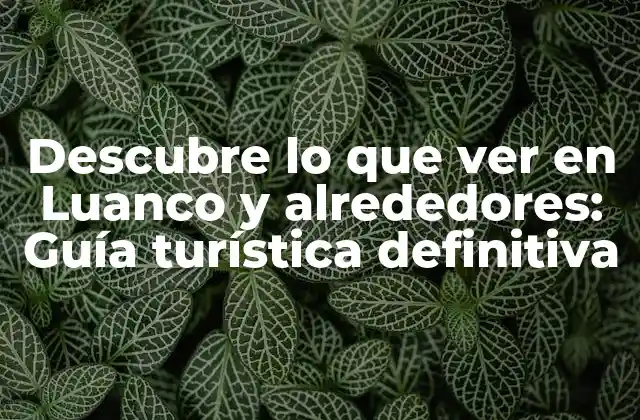 Descubre Lo que Ver en Luanco y Alrededores: Guía Turística Definitiva
