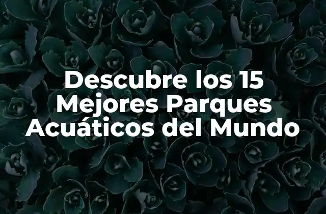 Descubre los 15 Mejores Parques Acuáticos Del Mundo