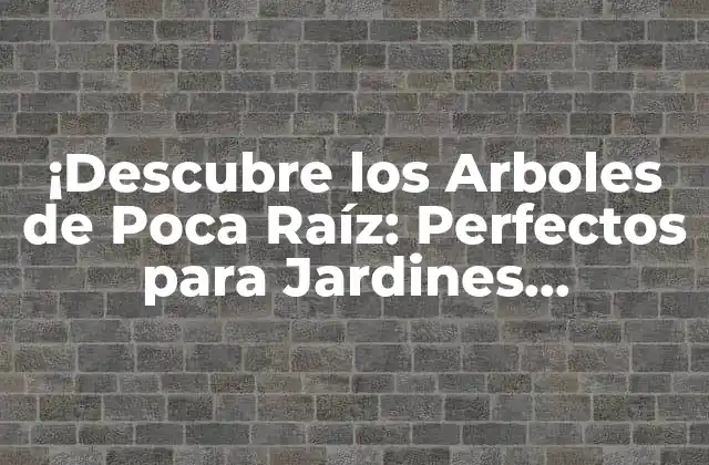 ¡descubre los Arboles de Poca Raíz: Perfectos para Jardines Pequeños!