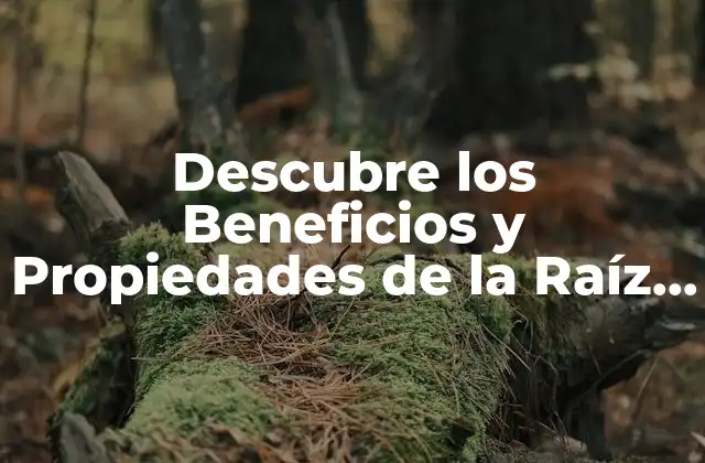 Descubre los Beneficios y Propiedades de la Raíz de Achicoria