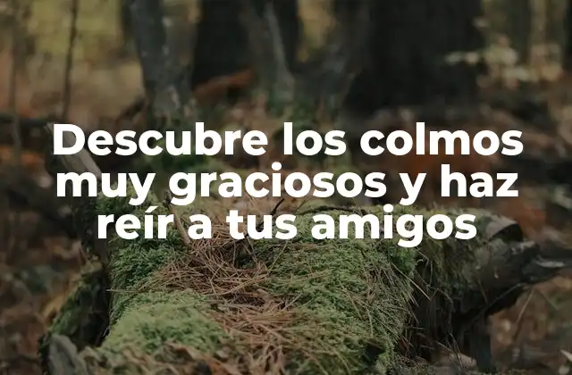 Descubre los Colmos Muy Graciosos y Haz Reír a Tus Amigos