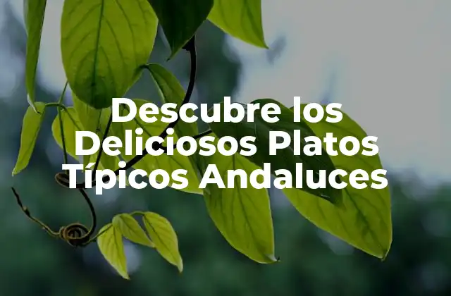 Descubre los Deliciosos Platos Típicos Andaluces