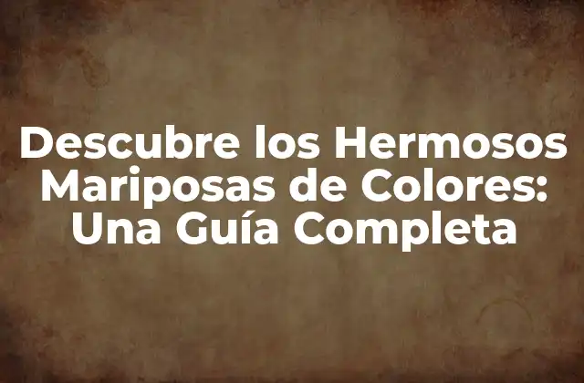 Descubre los Hermosos Mariposas de Colores: una Guía Completa