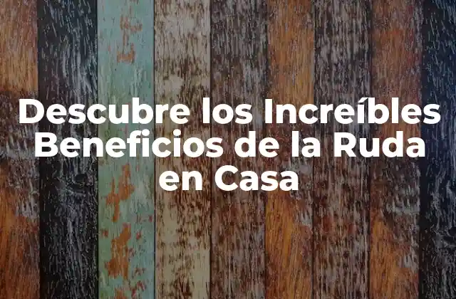 ¿Cómo se Cultiva la Ruda en Casa?