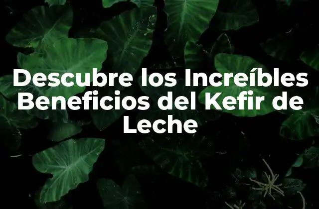 Descubre los Increíbles Beneficios Del Kefir de Leche