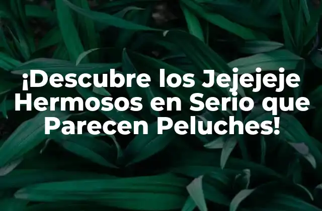 ¡descubre los Jejejeje Hermosos en Serio que Parecen Peluches!
