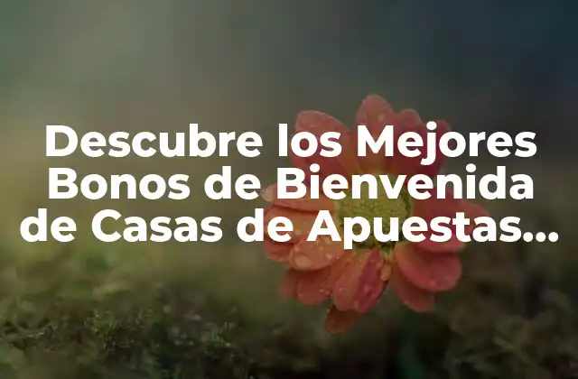 Descubre los Mejores Bonos de Bienvenida de Casas de Apuestas Online
