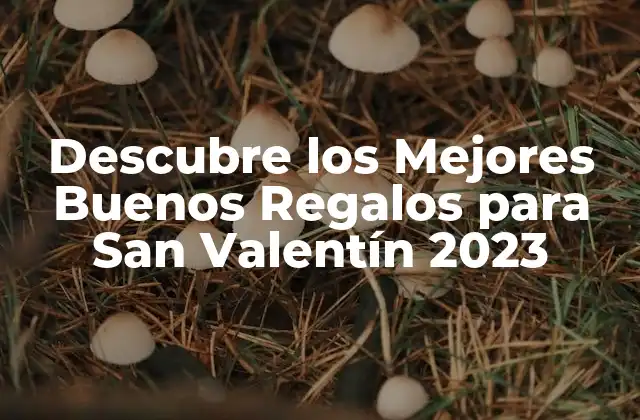 Regalos Románticos para San Valentín