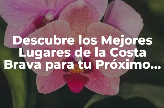 Descubre los Mejores Lugares de la Costa Brava para Tu Próximo Viaje