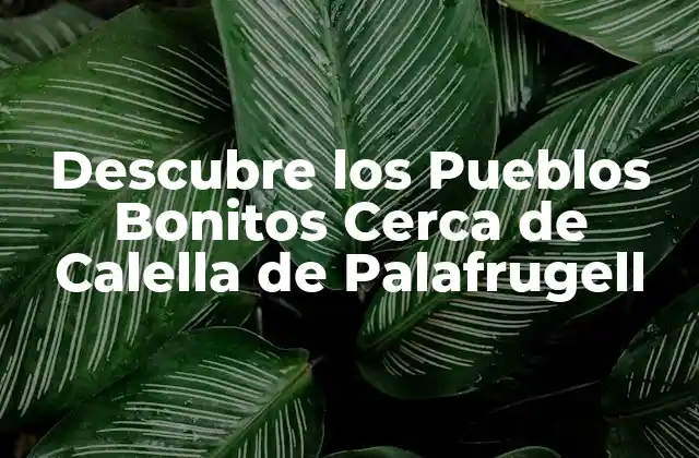 Descubre los Pueblos Bonitos Cerca de Calella de Palafrugell