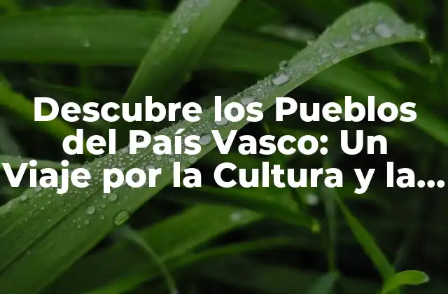 Descubre los Pueblos Del País Vasco: un Viaje por la Cultura y la Historia