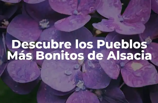 Descubre los Pueblos Más Bonitos de Alsacia 2 Colmar, el Pueblo de los Techos de Teja