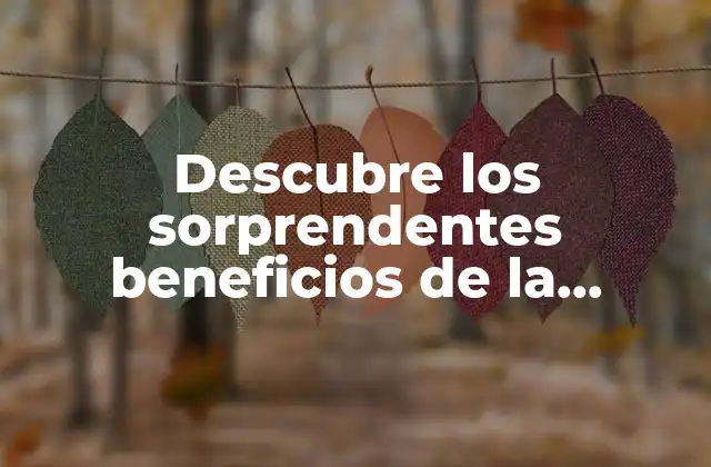 Descubre los Sorprendentes Beneficios de la Frambuesa para Tu Salud y Belleza