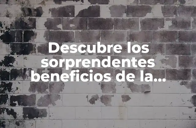 Descubre los Sorprendentes Beneficios de la Naranja para Tu Salud y Bienestar