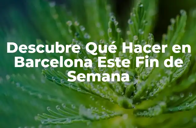 Descubre Qué Hacer en Barcelona Este Fin de Semana