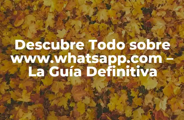 Descubre Todo sobre Www.whatsapp.com – la Guía Definitiva