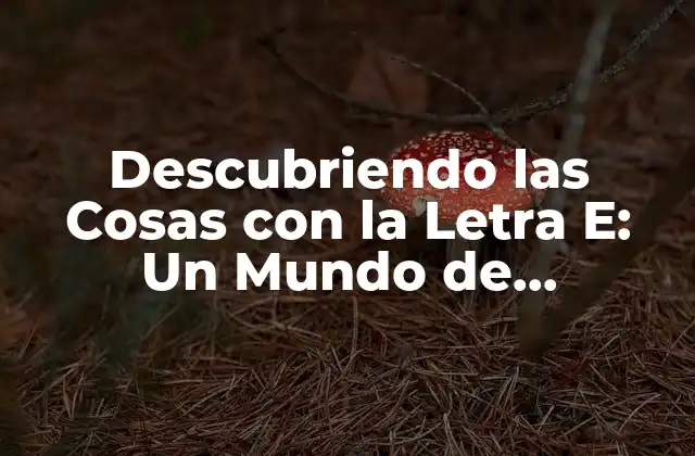 Descubriendo las Cosas con la Letra E: un Mundo de Posibilidades