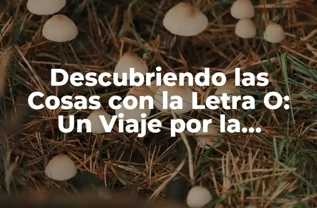 Descubriendo las Cosas con la Letra O: un Viaje por la Diversidad