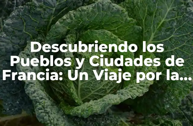 Descubriendo los Pueblos y Ciudades de Francia: un Viaje por la Cultura y la Historia