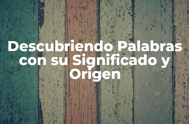 Descubriendo Palabras con Su Significado y Origen
